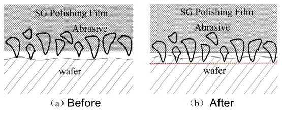 SG polishing pad polishing schematic